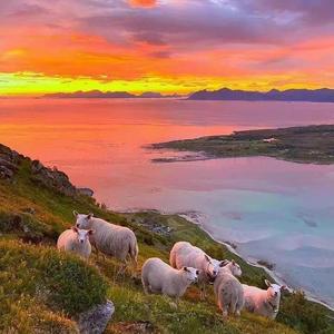 废弃作品，请勿点开