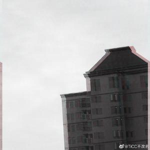 你看吧我总是呆的