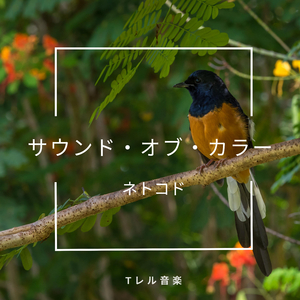 現実のチューニング