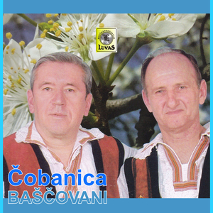 Cobanica