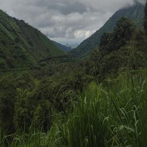 Como duele tu traición