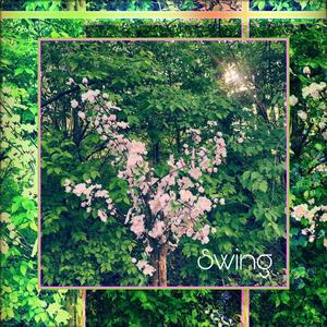 Swing