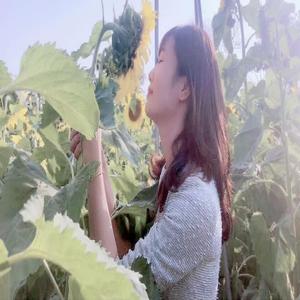 Why Don't You Say Anything