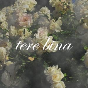 tere bina