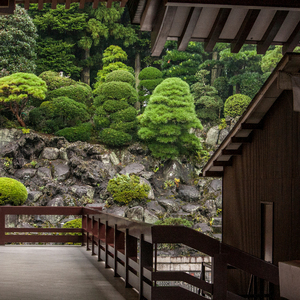 Variaciones (medley) sobre temas de Piazzolla (Live)