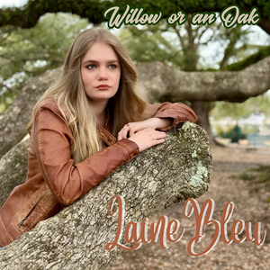 Willow or an Oak