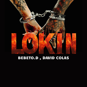 Lokin (Remix)
