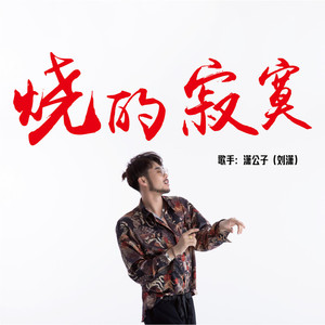 烧的寂寞 (DJheap九天版)