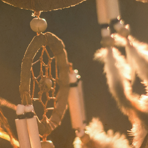 Dreamcatcher