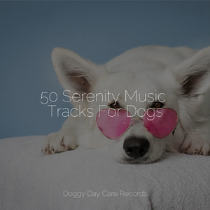 Meditative State of Mind