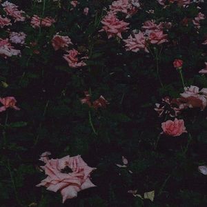 花（Prod EVOMUSIC）