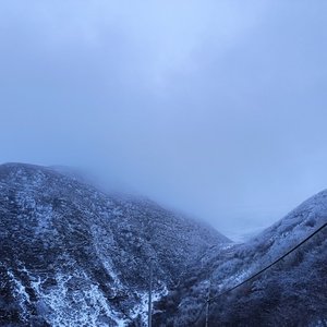 双声道城南花已开