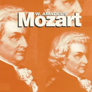 Symphony No. 40 in G Minor, K. 550: I. Molto allegro
