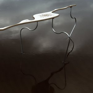 There's a Fire in the Neighbor's Nest