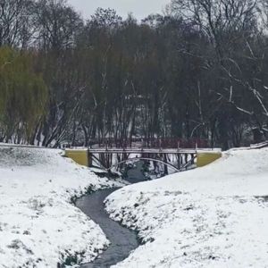 任时光在掌心发芽