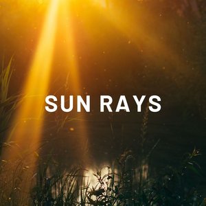 Sun Rays