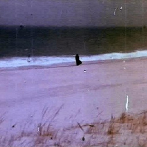 cut my skin on angel wings (prod. misery)