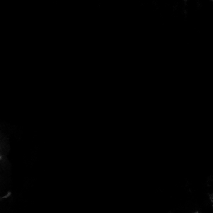 Наполненность