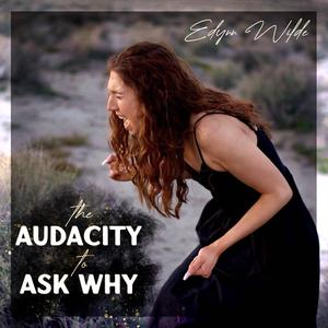 The Audacity To Ask Why (feat. summerscapes)