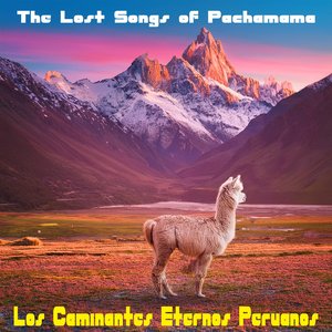 Donde el Sol Besa la Piedra Inca