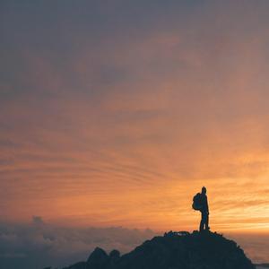 In Search of