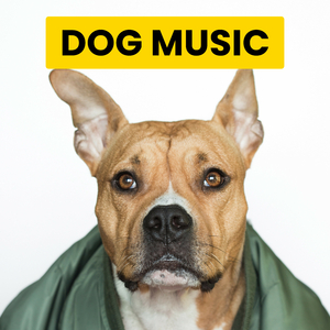 Peace Vibes with a City View