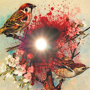 По воробьям