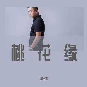 海来阿木-桃花缘-谢玉辉（谢玉辉 remix）