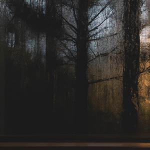 Fallen Down - Slowed + Reverb (Campfire Version)