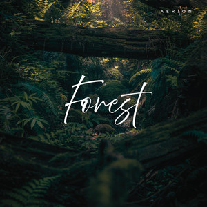 Forest (Radio Edit)