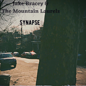 Synapse