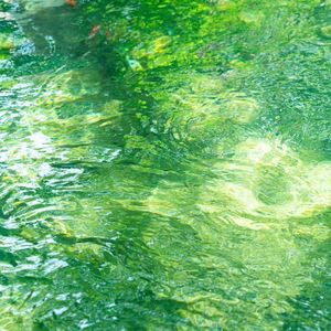 地球仪(你想活出怎样的人生)