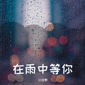 在雨中等你