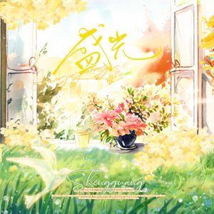 盛光·九尾21岁生日应援曲