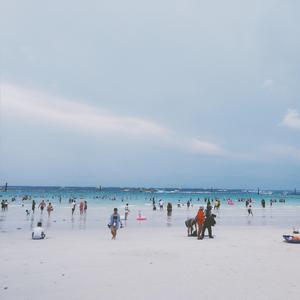 零几年听的情歌《翻自小鸡腿》