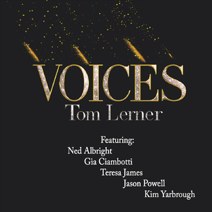 Too Much Medicine (feat. Ned Albright)