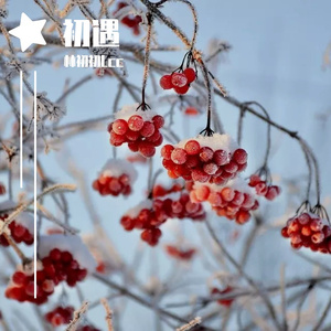 当时我眼泪就下来了