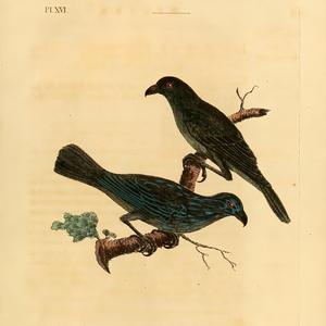 Late Summer (feat. YAMANE)