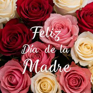 Eres la reina de mi vida (Merengue)