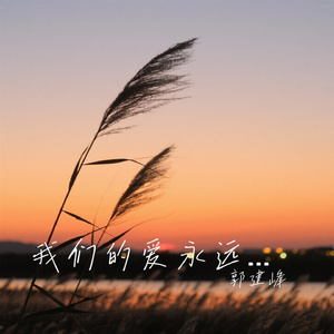 我们的爱永远清澈