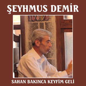 Sahan Bakınca Keyfim Geli