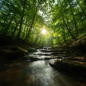 喜働（きどう） - 流れる時間の中で