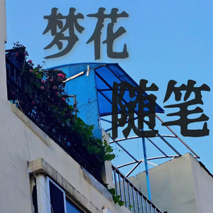 梦花随笔（伴奏）