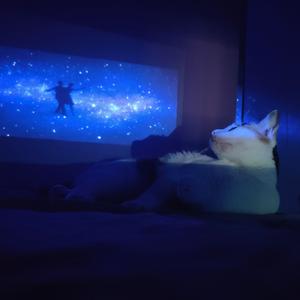 暗恋是一个人的事