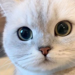 与你共舞的浪漫乐章