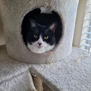 Raised by fire and gasoline