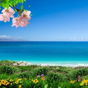 春暖花开 (伴奏)