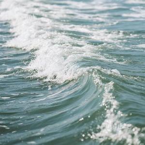 随波逐流