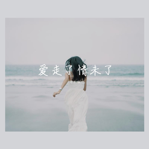 爱走了情未了