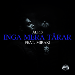 Inga mera tårar (Instrumental)